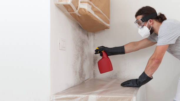 Professional Bathroom Mold Removal technician working in Great River, NY